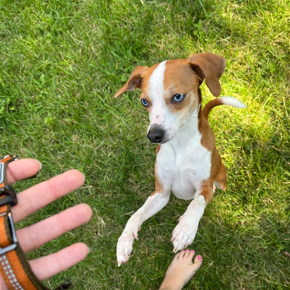 Meet your Posher, Brianna